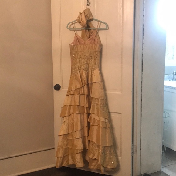 Mardi Gras Ball Formal Dress - Picture 5 of 5